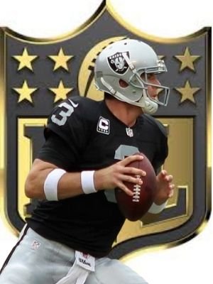 Carson Palmer total worth