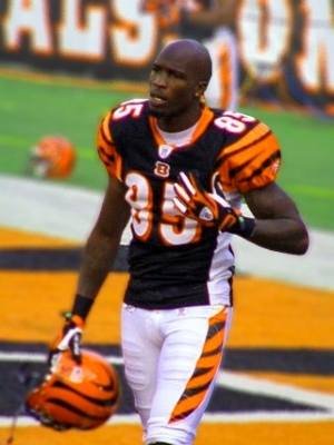 Chad Johnson total worth