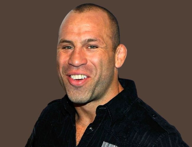 Wanderlei Silva Career Earnings